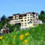 Alpenflora