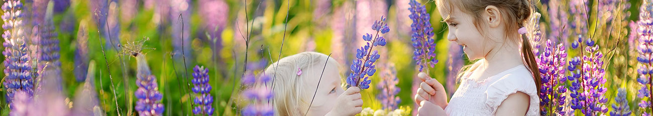 Zwei kleine Mädchen in einem Feld von Lavendel