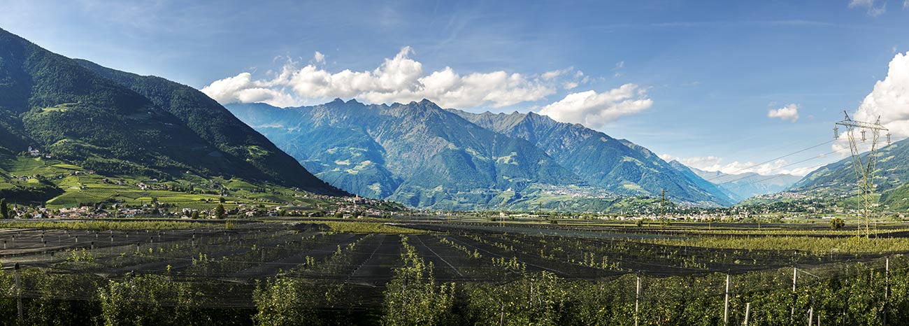 Vigneti, alberi di mele e montagne che circondano Merano