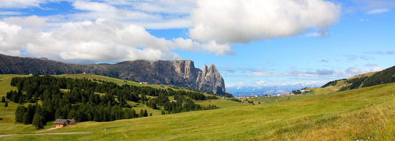 L'Alpe di Siusi e il massiccio dello Sciliar in lontananza