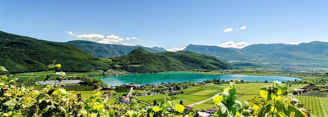 Il Lago di Caldaro immerso tra i vigneti in una giornata di sole