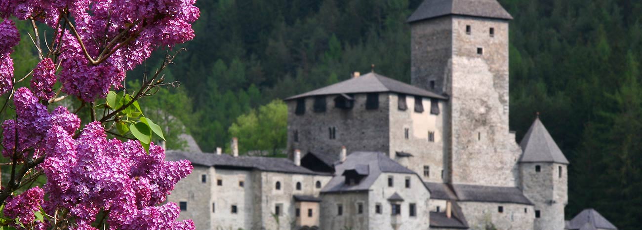 Das Schloss von Sand in Taufers in der Ferne und im Vordergrund ein violetter Flieder