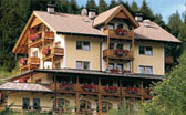 Hotel Naturidyll Bad Waldbrunn si trova a Monguelfo presso Plan de Corones