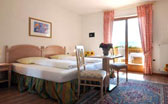 Camera doppia all'Hotel Traubenheim a Nalles 